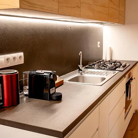 Centrum Komfort Free Private Parking דירה זבולן